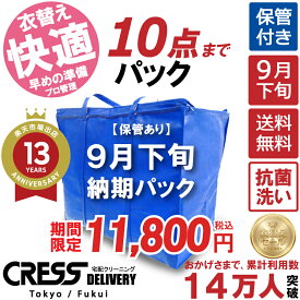 クリーニング 【SALE 今すぐ使える！500円OFFクーポン付き】 ＼圧倒的なコスパ最強価格！衣替え限定セール！／ 【楽天1位】 クリーニング 【送料無料】 【9月下旬パック10点】宅配クリーニング 保管 宅配 クリーニング 詰め放題 宅配クリーニング 500