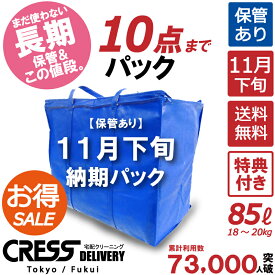 数量限定！31％OFF【 ポイント最大10倍!!＆最大500円クーポン】【11月下旬パック10点】クリーニング 保管 詰め放題 宅配 送料無料 ダウン 枚数制限なし 入れ放題 宅配クリーニング ポイント クーポン 抗菌 除菌 品質 シミ抜き 毛玉取り 新生活 クレス クリーニング