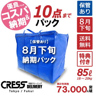 本日のみ!25日限定【ポイント最大17倍 !! & 1,000円割引クーポン & 特典付き】【8月下旬パック10点】クリーニング 保管 詰め放題 宅配 送料無料 ダウン 枚数制限なし 入れ放題 宅配クリーニング ポイント クーポン 抗菌 除菌 シミ抜き 毛玉取り クレス クリーニング