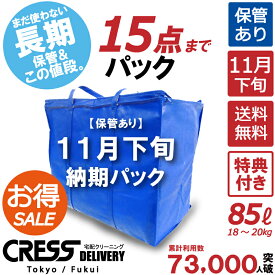 数量限定！30％OFF【 ポイント最大10倍!!＆最大500円クーポン】【11月下旬パック15点】クリーニング 保管 詰め放題 宅配 送料無料 ダウン 枚数制限なし 入れ放題 宅配クリーニング ポイント クーポン 抗菌 除菌 品質 シミ抜き 毛玉取り 新生活 クレス クリーニング