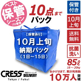 ポイント5倍! ＼ 祝10万人突破記念 特別企画！ 1500円OFFクーポン で 12,800円 → 11,300円 ／ 数量限定 【10月上旬パック10点】クリーニング 保管 詰め放題 宅配 送料無料 ダウン 枚数制限なし 宅配クリーニング クーポン 抗菌 除菌 品質 シミ抜き クレス クリーニング