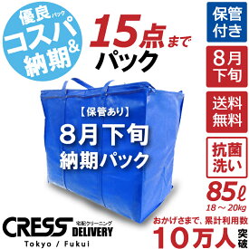 ポイント5倍! ＼ 祝10万人突破記念 特別企画！ 1500円OFFクーポン で 13,800円 → 12,300円 ／ 数量限定 【8月下旬パック15点】クリーニング 保管 詰め放題 宅配 送料無料 ダウン 枚数制限なし 宅配クリーニング ポイント クーポン 抗菌 除菌 シミ抜き クレス クリーニング