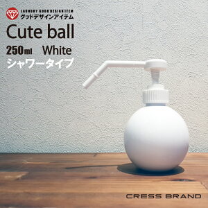 Xv[{g AR[ΉL[g{[ V[Xv[ 250ml × y^EV[^CvÉz[{́F^Xv[F][eʁF250ml PET^dグ]mNXEIW