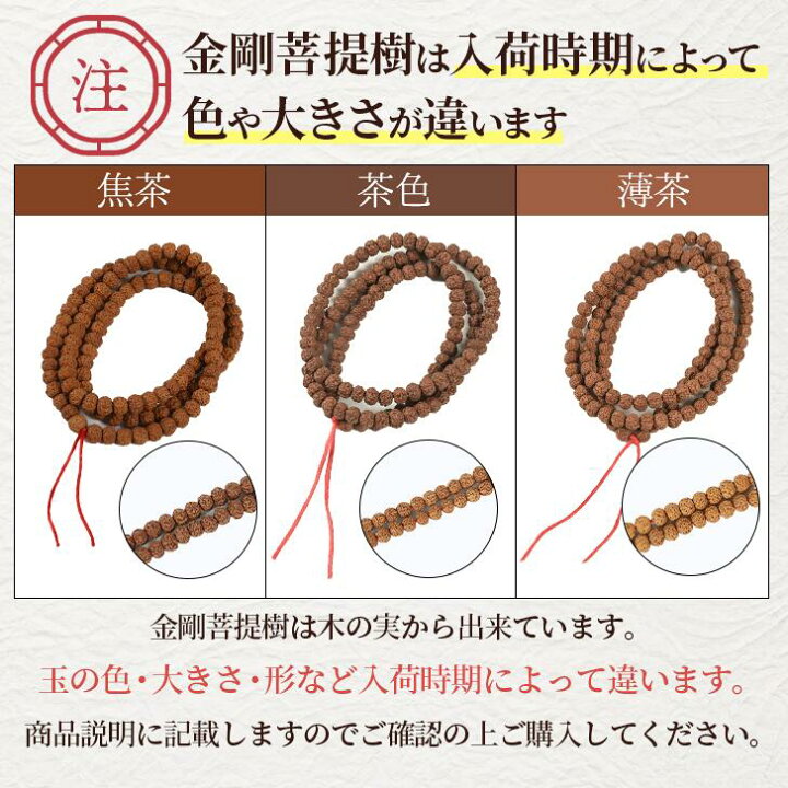 楽天市場】金剛菩提樹 108玉 ルドラークシャ 菩提樹の実 数珠 念珠 
