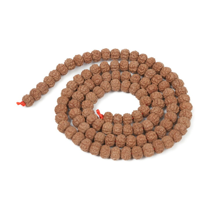 楽天市場】金剛菩提樹 108玉 ルドラークシャ 菩提樹の実 数珠 念珠  