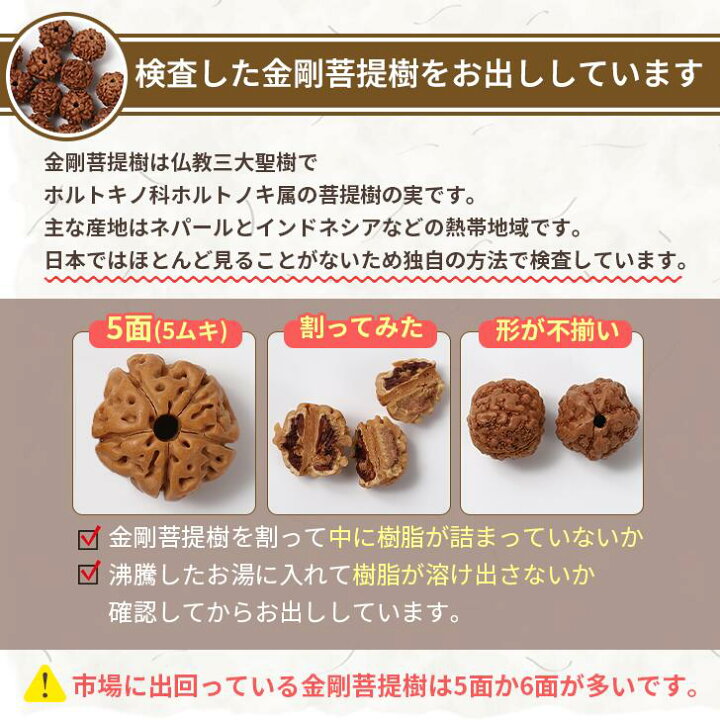 楽天市場】金剛菩提樹 108玉 ルドラークシャ 菩提樹の実 数珠 念珠 