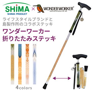 y[J[1Nۏ؁z_[[J[ ܂肽 XebL 쏊