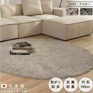 O }bg ی^ VM[ { 160cm h_j R hL h g[Ή ӂ 唻 O~ イ ~ rO ~` ۂ 傫 傫 L  ӂӂ n Vv _