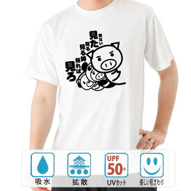 おもしろ tシャツ ドライ 和柄 元祖豊天商店 見る活用 半袖 B01 ぶーでん ※ 子供 用はお取り扱いが御座いません。