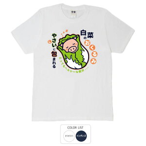  tVc a cLVX ؂̂ TVc  B01 ԁ[ł  q p͂舵܂B