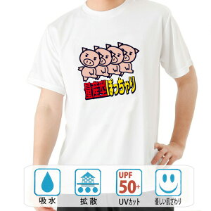  tVc hC a cLVX ۂru^XʎYIHρij@ʎY^ۂ  B01 ԁ[ł  q p͂舵܂B