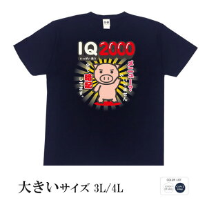 tVc 傫TCY a cLVX Cɓ̐H̃j[ۈËLȂēOI IQ2000    q p͂舵܂B B01