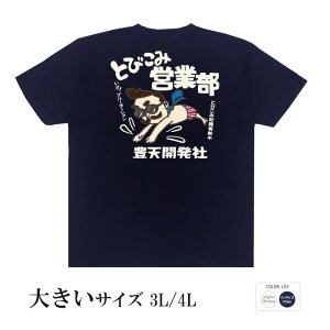 tVc 傫TCY a cLVX ł̓cƁIlOɂ܂͔эł݂悤 Ƃт݉cƕ   q p͂舵܂B