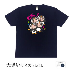 tVc 傫TCY a cLVX ݂ȏW܂΂킢{HI ނyM    q p͂舵܂B B01