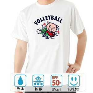  tVc hC a cLVX ߂ăLĂ o[{[    q p͂舵܂B B01