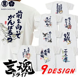 おもしろ tシャツ 言魂 ドライ 和柄 元祖豊天商店 日本語 漢字 和風 言葉 開運 幸福 半袖 ぶーでん ホワイト re0702311 ※ 子供 用はお取り扱いが御座いません。 SSS