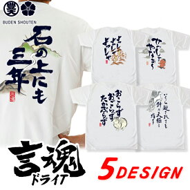 おもしろ tシャツ 言魂 ドライ 和柄 元祖豊天商店 日本語 漢字 和風 言葉 開運 幸福 半袖 ぶーでん ホワイト re0702312 ※ 子供 用はお取り扱いが御座いません。 SSS