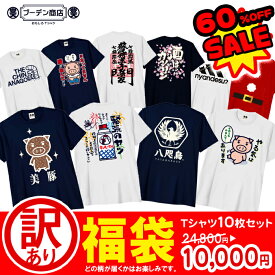 訳あり tシャツ 福袋 在庫処分 セール 送料無料 10枚セット おもしろtシャツ 半袖 メンズ レディース 男女兼用 ※ 食品 ではありません