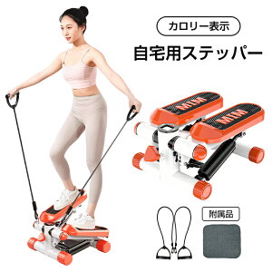 Xebp[ }bgt _CGbg cCXgXebp[ `[vt É TChXebp[ ̊ ؃g ݃}V tBbglX Xebv  g L_f^ GNTTCY 