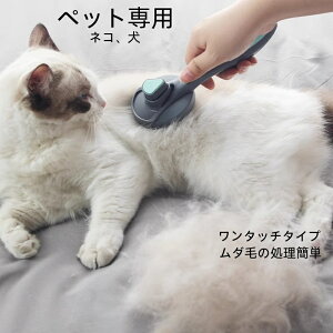 y[ zL uV ыʎ uV L suV LuV L  ю ybgp ybgpuV ybg uV vbV  g₷