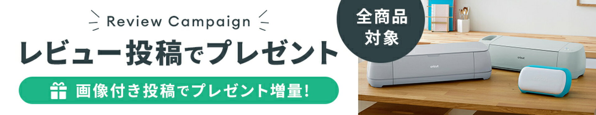 レビューキャンペーン