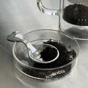 100-016 DULTON TEA MEASURE SPOON _geB[W[Xv[vʃXv[ g  n[g AeB[N 킢 At^k[eB[