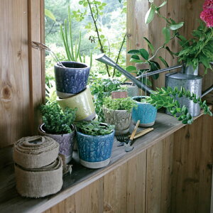 DULTON CH13-G476CGN COLOR GLAZED POT CLASSIC _g J[ O[Yh |bg 3 Aؔ Ԃт k K[fjO Jt |bg _g t[|bg 󂯎M K[f Aւ