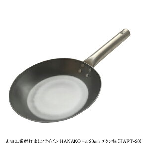 ŏotCp HANAKO{a 20cm `^iHAFT-20jؓIHI[MΉ