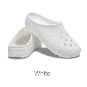 20%OFFP10{~12/4 9:59܂ŁyNbNXzNVbN [ vt@C NbO