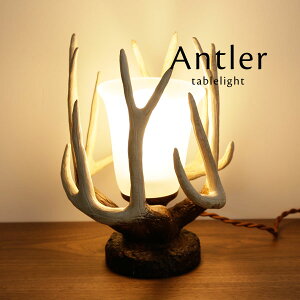 e[uCg LED y Antler z Ɩ e[uv  ̊p xbh \t@ TCh croix