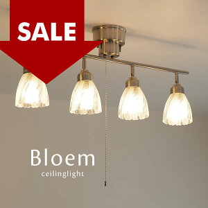 AEgbg X|bgCg y Bloem z 4 Ɩ KX  Z[ SALE   l   Ɩ _CjOCg NVbN croix