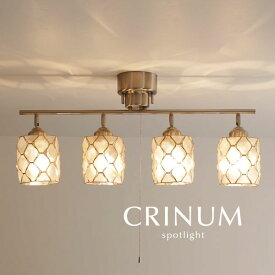 スポットライト カピス貝 【 CRINUM / ナチュラル 】 4灯 LED電球 天然素材 人気 シーリングライト ダイニングライト リビング 多灯