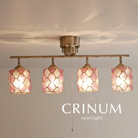スポットライト カピス貝 【 CRINUM / パープル 】 4灯 紫色 照明 LED電球 天然素材 シェル ダイニングライト リビング 多灯 プルスイッチ 人気 croix