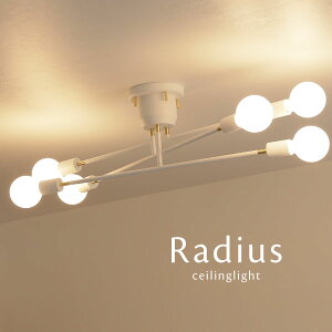 V[OCg y Radius / zCg z 6 LEDd  VƖ Ɩ Vv _CjOCg Ɩ fUC croix