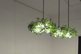LEDペンダントライトAlloro4