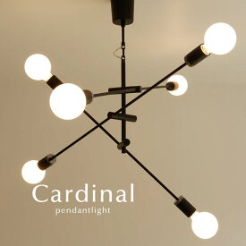ペンダントライト 【 Cardinal 】 6灯 ブラック モダン スタイリッシュ 照明 LED リビング ダイニングライト 大きい 大型 シンプル