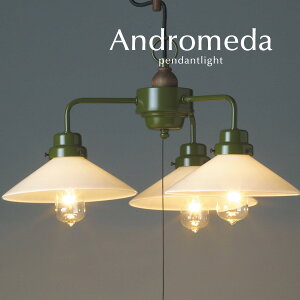 y_gCg y Andromeda / 3 z  㓡Ɩ I[_[ KX Jg[ Ebh a O[ rO g { _CjOCg LEDd H