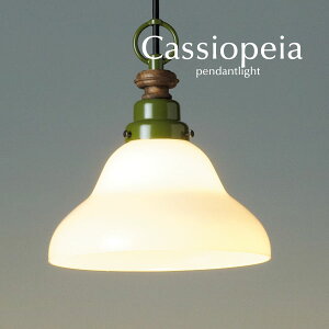 y_gCg LED y Cassiopeia z KX 㓡Ɩ I[_[ Jg[ a O[ g _CjOCg R[h  Jbg gC Lb` Vv H {