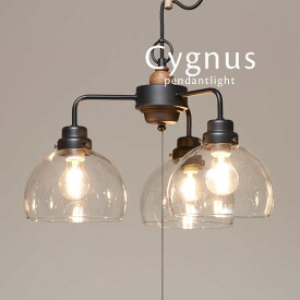 ペンダントライト 【 Cygnus / 3灯 】 送料無料 スイッチ LED 照明 電気 和モダン 和風 シンプル 加工 日本製 後藤照明 オーダー ブラック