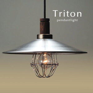 K[ht A~VF[h y_gCg LEDd y Triton z g Lb` _CjOCg 㓡Ɩ I[_[ Vv { a