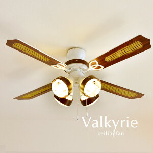 V[Ot@ Cg y Valkyrie z 4 ][g C VfA zCg Ɩ IV k ؖ _ JtF