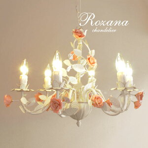 VfA LED y Rozana z 6 zCg KN o AeB[N NVbN GKg t` `F[ rO JtF