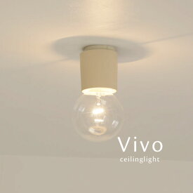 スポットライト 日本製 【 Vivo / ベージュ 】 照明 1灯 直付け コンパクト シンプル 小さい 小形 小型 小さめ ミニマム ミニマル シーリングライト アルミ 軽量
