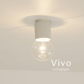 スポットライト 日本製 【 Vivo / グレー 】 照明 シンプル 1灯 直付け コンパクト 小さい 小形 小型 小さめ ミニマム ミニマル シーリングライト アルミ 軽量