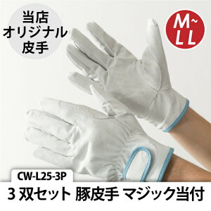 yz3oZbg CW-L25-3P v  ؔ  }WbNt }WbNt  v XIWi Ɨp ƕ ƒ vp El o  o y