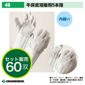 y60oz v Ɨp 5{w nڗp 4B xmO[u KXnf nڗp ƒ ƕ ΂g Lv ܂Ƃߔ P[X ƒ ƕ