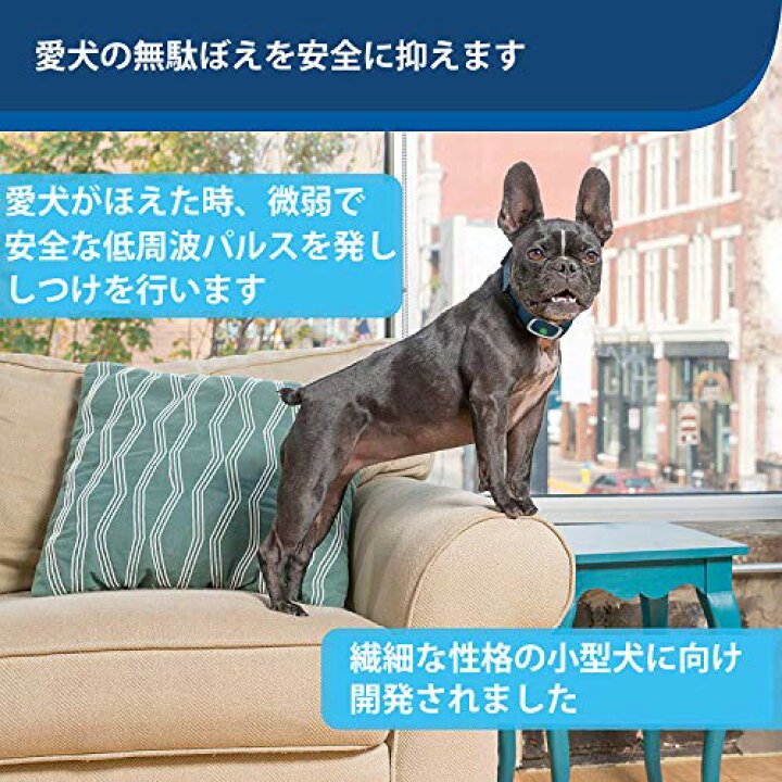無駄吠え防止 首輪 しつけ ペットセーフ トレーニング スプレーバークコントロール