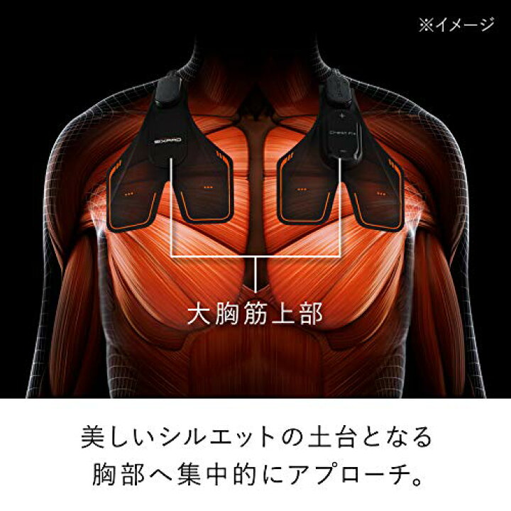 楽天市場】MTG SIXPAD シックスパッド チェストフィット(Chest Fit  
