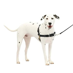 PetSafe C[W[EH[Nn[lX (ML ubNVo[)