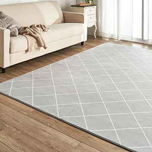 �A�C���X�v���U �t�����l�����O ���K�ȋ�Ԃ����͂� ���O ���O�}�b�g �_�C���O���[ 130×185cm FNR-RC-1318